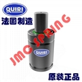 原装法国QUIRI GAS SPRING奎里氮气弹簧