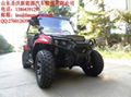 RZR style F-N-R CVT chain drive UTV 200 on sale 5