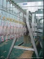 poultry machine