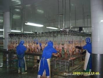 chicken slaughter machine 2