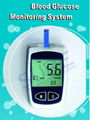 Blood Glucose Meter 1