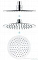 Stainless Steel Shower Head