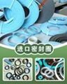 PTFE 及填充材料密封圈