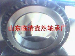 Shandong xin bearing co., LTD