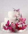 Wedding cake butterfly decorations 1