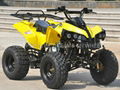 ATV 110cc, 125cc (ATV008)