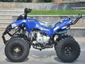 ATV 110cc, 125cc (ATV008)