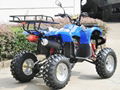 ATV 150cc, 200cc, 250cc (ATV010) 4