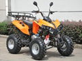 ATV 150cc, 200cc, 250cc (ATV013) 4