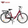 Electric Bike (HP-C01) 1