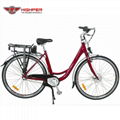 Electric Bike (HP-C01)