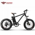Electric Fat Bike (HP-M01)
