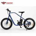 Electric Fat Bike (HP-M02)