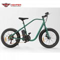 Electric Fat Bike (HP-M02) 2