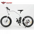 Electric Fat Bike (HP-M02) 3