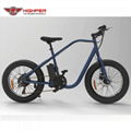 Electric Fat Bike (HP-M02) 4