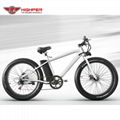 Electric SNOW Bike (HP-M03)