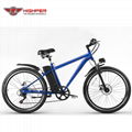 Electric Mountain Bike (HP-M04) 1