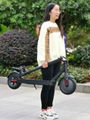 300W Electric Scooter (HP-I20) 9