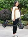300W Electric Scooter (HP-I20)
