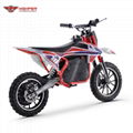 800W36V Electric Dirt Bike (HP114E)