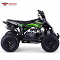 Quad ATV 70cc, 90cc, 110cc (ATV-9) 2