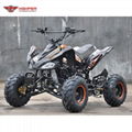 ATV 110cc, 125cc (ATV004) 2