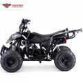 ATV 110cc, 125cc (ATV006) 4