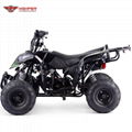 ATV 110cc, 125cc (ATV006)
