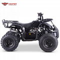 ATV 110cc, 125cc (ATV006)