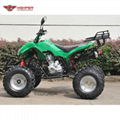 ATV 150cc, 200cc, 250cc (ATV012) 2