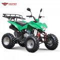 ATV 150cc, 200cc, 250cc (ATV012) 1