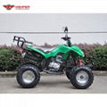 ATV 150cc, 200cc, 250cc (ATV012) 3