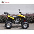 ATV 150cc, 200cc, 250cc (ATV013) 2