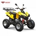 ATV 150cc, 200cc, 250cc (ATV013)