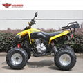 ATV 150cc, 200cc, 250cc (ATV013) 3