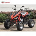 ATV 150cc, 200cc, 250cc (ATV014) 3