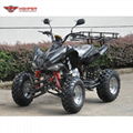 ATV 150cc, 200cc, 250cc (ATV014) 5
