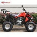 ATV 150cc, 200cc, 250cc (ATV014) 6