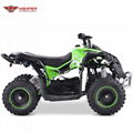 Mini Electric Renegade 1000W (ATV-3EA) 2