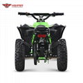 Mini Electric Renegade 1000W (ATV-3EA) 4