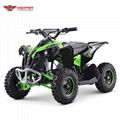 Mini Electric Renegade 1000W (ATV-3EA) 1