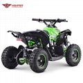 Mini Electric Renegade 1000W (ATV-3EA) 5