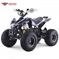 Electric  Quad ATV (ATV004E shaft dirve) 2