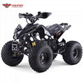 Electric  Quad ATV (ATV004E shaft dirve) 3