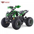 Electric  Quad ATV (ATV004E shaft dirve) 4