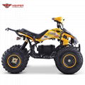 Electric  Quad ATV (ATV004E shaft dirve) 5