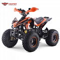 Electric  Quad ATV (ATV004E shaft dirve) 6