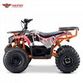 Electric Quad ATV (ATV007E shaft dirve)    2