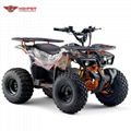 Electric Quad ATV (ATV007E shaft dirve)   